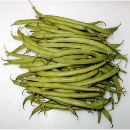 Fagiolini 500g Fagiolini 500g