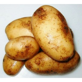 Patate novelle Patate novelle