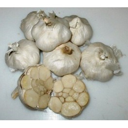 Aglio bianco Aglio bianco