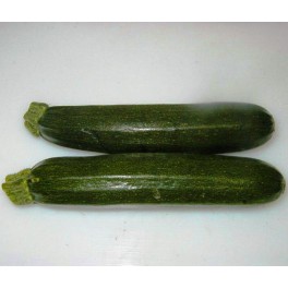 Zucchine Zucchine