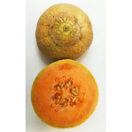 Melone Melone
