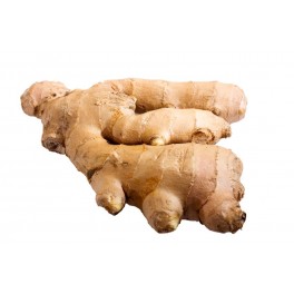 Ginger (Zenzero) Ginger (Zenzero)