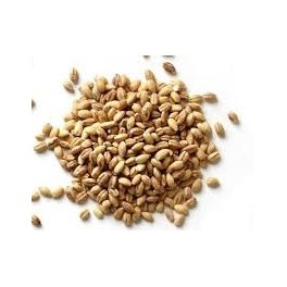 Farro Farro