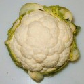 Cavolfiori