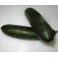 Cetrioli