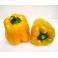 Peperone giallo