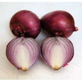 Cipolle rosse Cipolle rosse