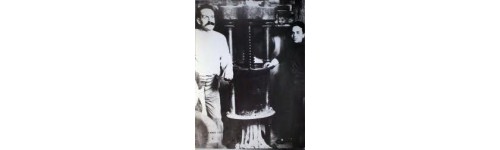 Pasta di grano "Senatore Cappelli"